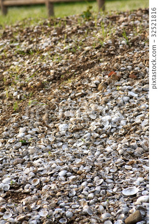 Shell mound (Kusukatsu ruins) Shell mound (Kusukatsu ruins) 32521816