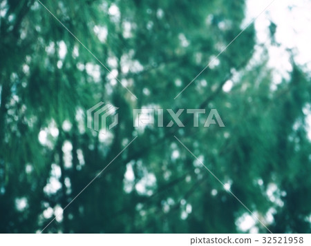 Blurred forest 32521958