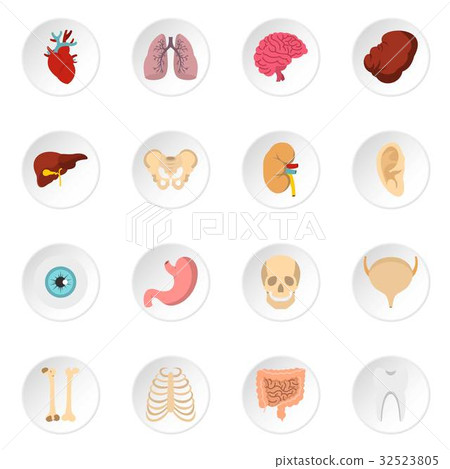 Human organs set flat icons 32523805