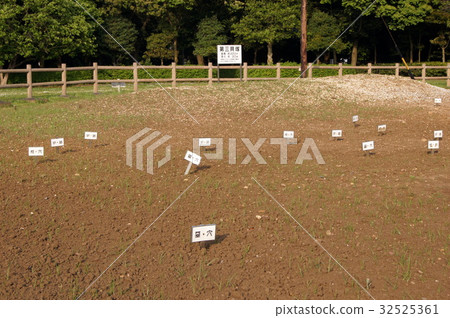 Ruins of Mt. 32525361