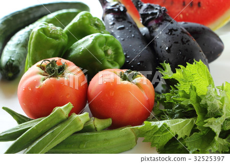夏季蔬菜 32525397