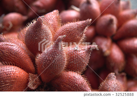Sallucca fruits Sallucca fruits 32525888