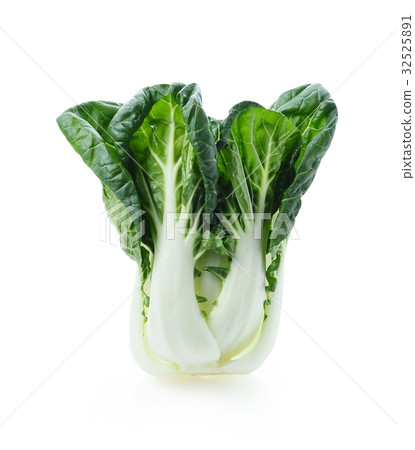 Pok Choi on white background 32525891