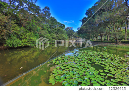 CUHK Reflection of the Lake Shatin CUHK Reflection of the Lake Shatin 32526615