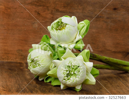 Lotus on the wooden floor 32527663