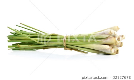 Fresh Lemon grass on a white background Fresh Lemon grass on a white background 32527678
