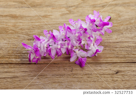 beautiful orchid on wooden background. 32527733