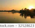 Lotus pond 32528623