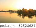 Lotus pond 32528624