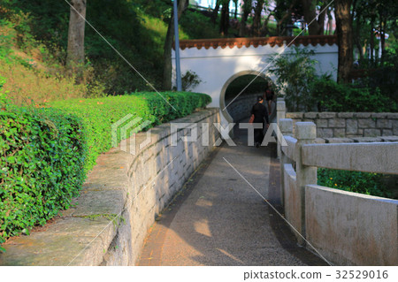 chinese garden 32529016