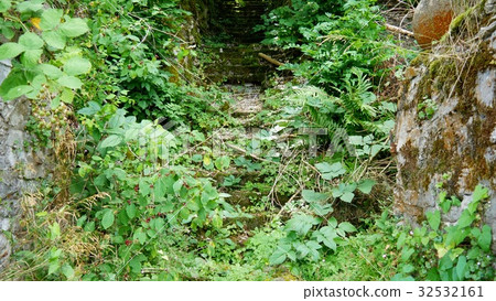 An overgrown concrete staircase An overgrown concrete staircase 32532161