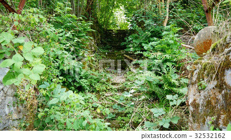 An overgrown concrete staircase An overgrown concrete staircase 32532162
