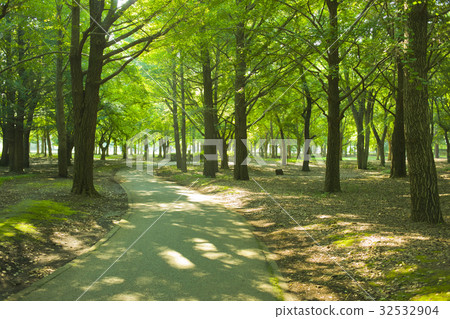 公園路 公園路 32532904