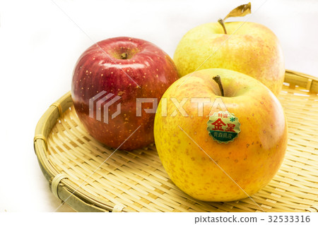 Ringo Venus Jonah金 32533316