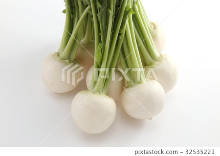 蕪菁 蕪菁 32535221
