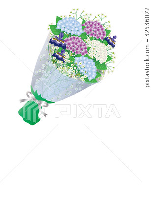 Bouquet hydrangea 32536072