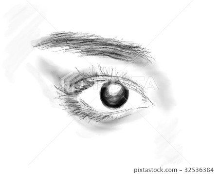眼睛的插圖 眼睛的插圖 32536384