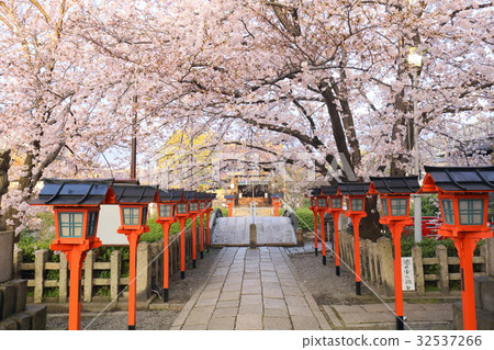 Rokko grand shrine in Kyoto Spring Rokko grand shrine in Kyoto Spring 32537266