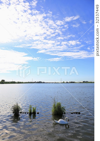 千葉香取水鄉佐原彩雨公園 32537449