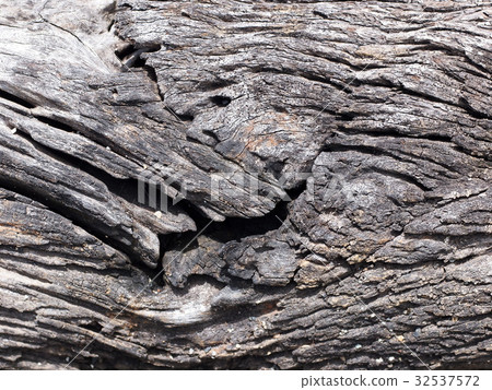 close up of old aged weathered cracked wood piece 32537572