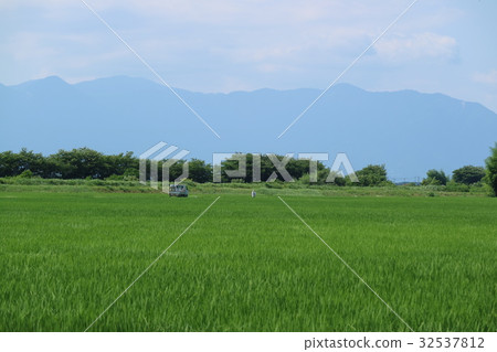 農場工作 農場工作 32537812