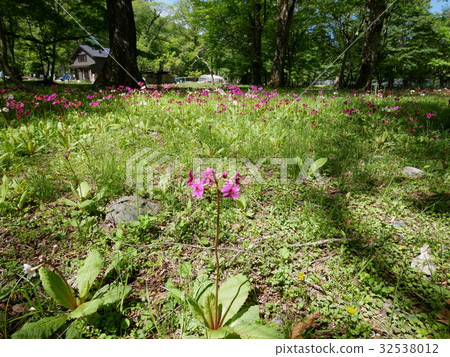 Nikko Shibukehama Clinic Photos taken on June 9, 2017 32538012