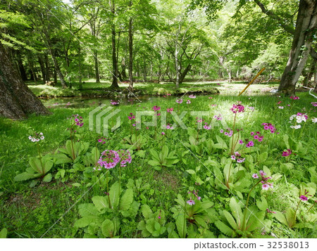 Nikko Shibukehama Clinic Photos taken on June 9, 2017 32538013