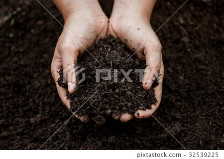 Soil in hand for planting 32539225