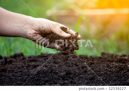 Soil in hand for planting 32539227