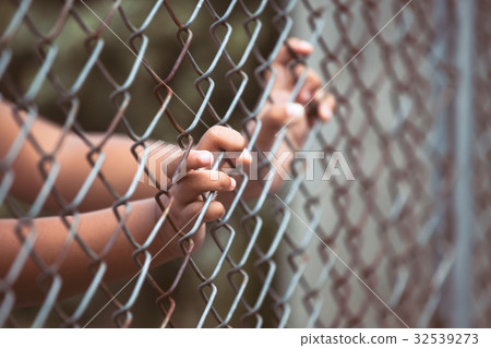 Child little girl hand holding steel mesh Child little girl hand holding steel mesh 32539273