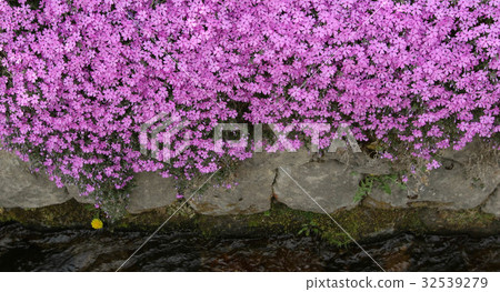 Ouchi Hostel Matsubagiku and Drainage Ouchi Hostel Matsubagiku and Drainage 32539279