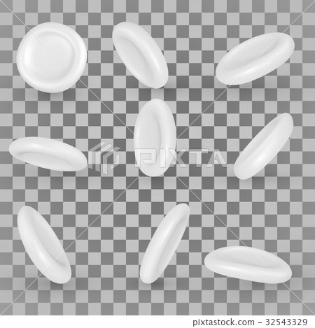 Vector White Blood Cells 32543329