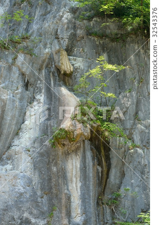 Shuzhi River Shuzhi River 32543376