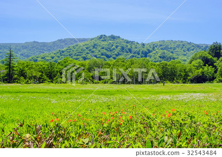 Range azalea and watasu gorge bloom plain 32543484