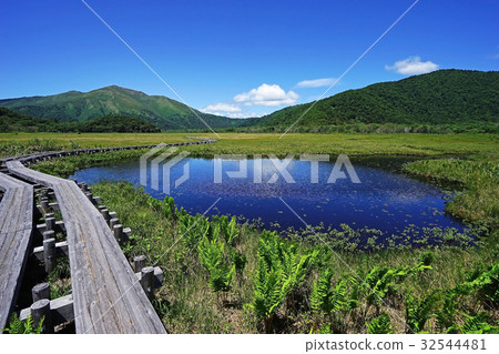 Ozegahara in early summer 32544481