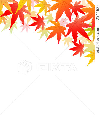 Autumn leaves on a white base 32544623