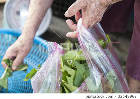 market 32549962