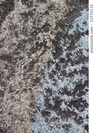 Rough rough skin 32550216