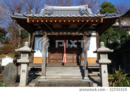 Hasushotera Hasushotera 32550329