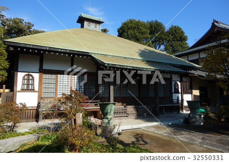 Hasushotera 32550331