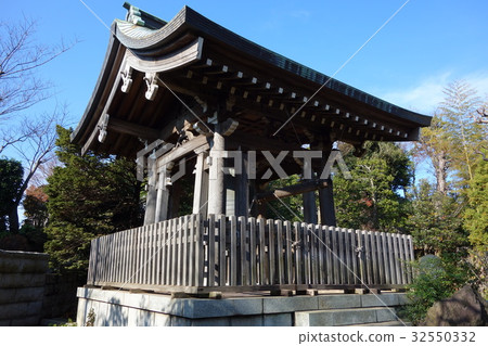 Hasushotera Hasushotera 32550332