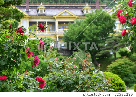 Rose garden and old Hakodate ward public hall Rose garden and old Hakodate ward public hall 32551289