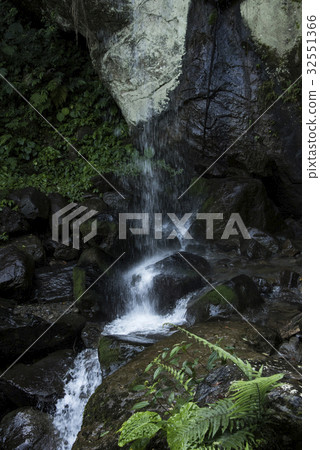 森林溪流 32551366