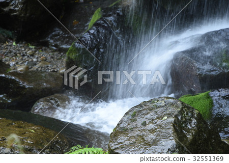 Forest stream Forest stream 32551369