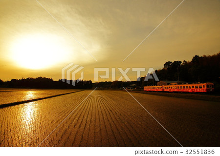 在Kominato鐵路的黃昏和米領域 32551836