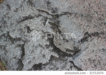 Rough rough skin Rough rough skin 32552070
