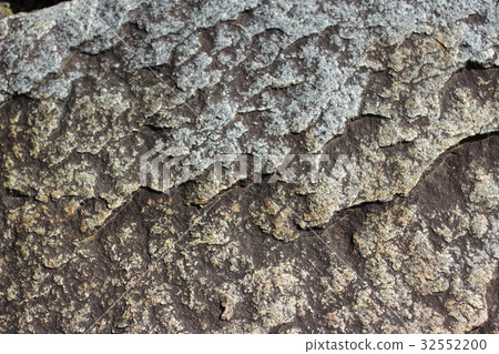 粗糙的皮膚 32552200