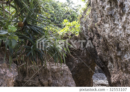 Hamahigajima Kanhon海灘 32553107