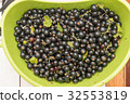 Black currant green plastic bowl 32553819