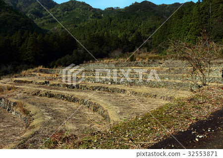 梯田·水稻梯田 梯田·水稻梯田 32553871